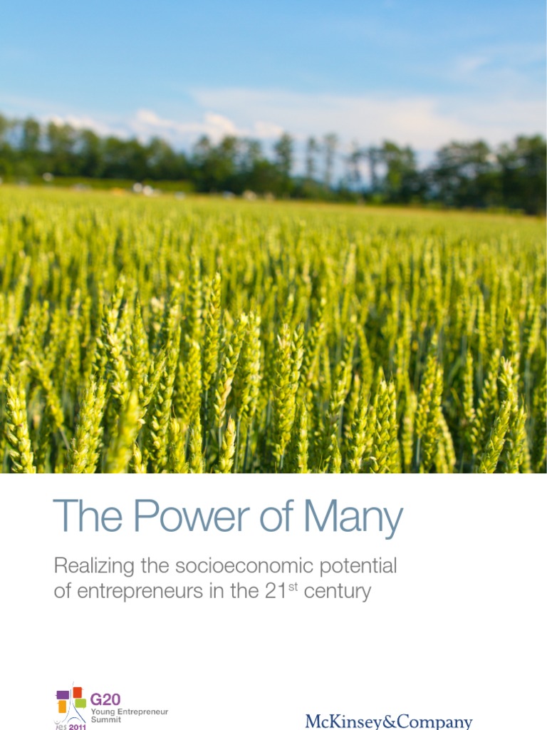The Power of Many - McKinsey Report - 20110310 | PDF | Entrepreneurship ...