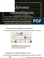 Arvores Genealógicas