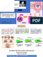 CLASE 2   Histogénesis