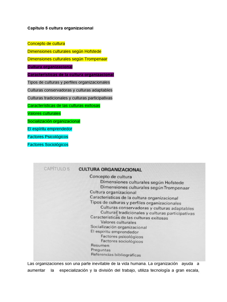 Cultura Organizacional y Comportamiento | PDF