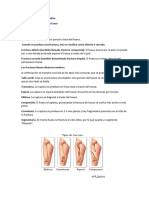 Tarea 2-Primeros Auxilios