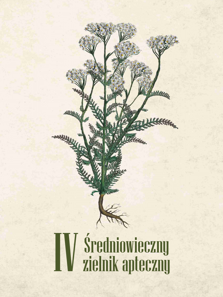 Ziolowa Apteka SW Hildegardy Srodek. | PDF