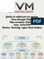 Mapa Conceptual Auditoria