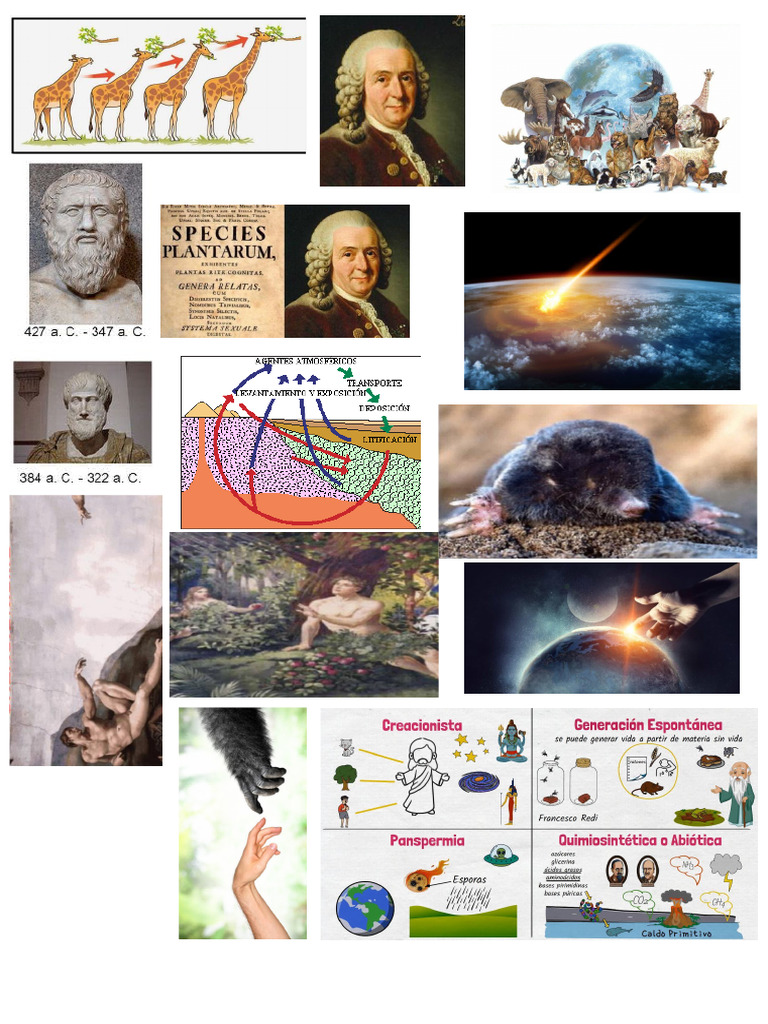 Biologiaa | PDF