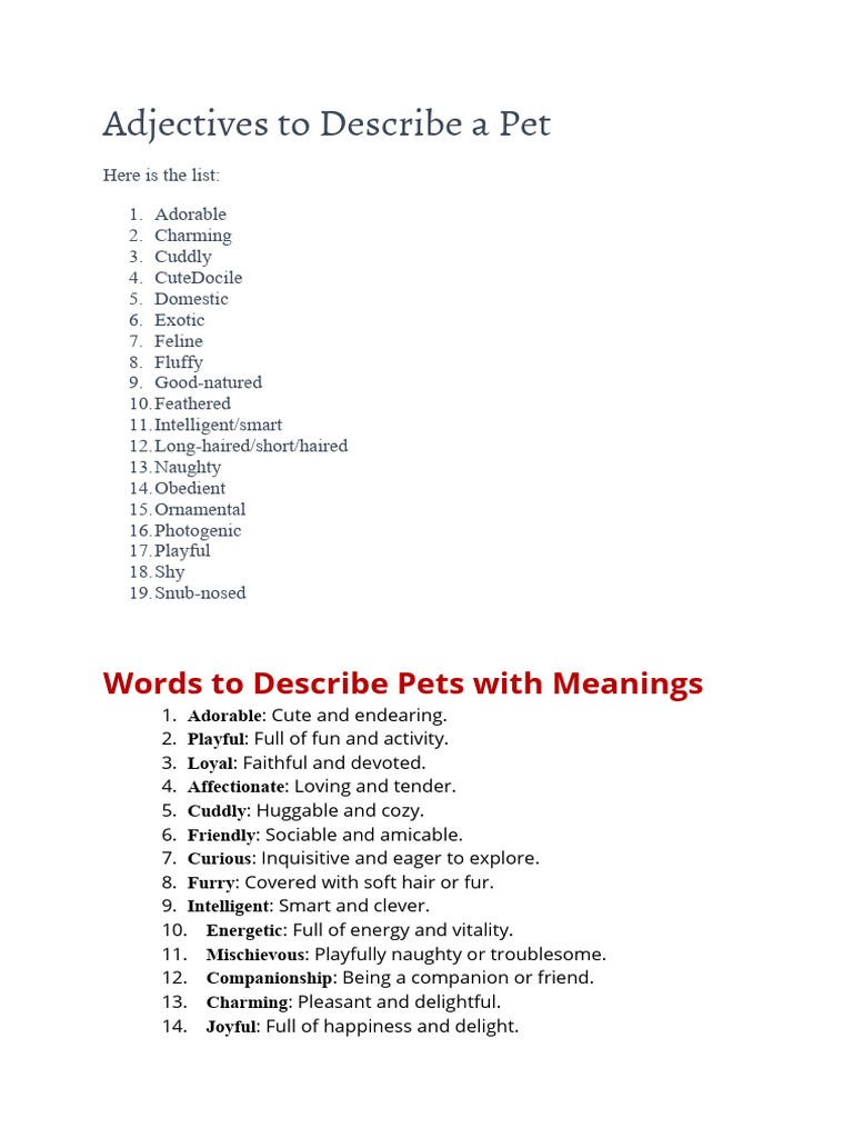 Adjectives to Describe a Pet PDF Cats Pet
