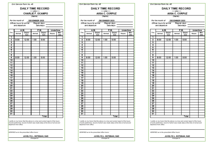 Dtr Template PDF