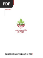 Download Pourquoi voter pour le PDP by Nichole Diaz SN69734152 doc pdf