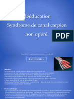 Reeducation Canal Carpien 1