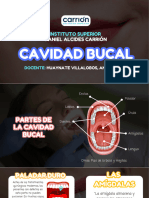 CAVIDAD BUCAL - SEMANA 2