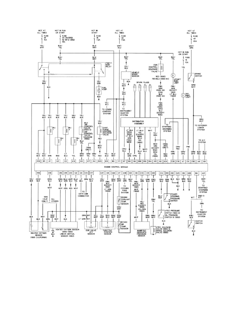 Honda p07 Ecu Pin Out PDF