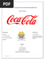 Project On Kinley Water Management in Coca Cola 2