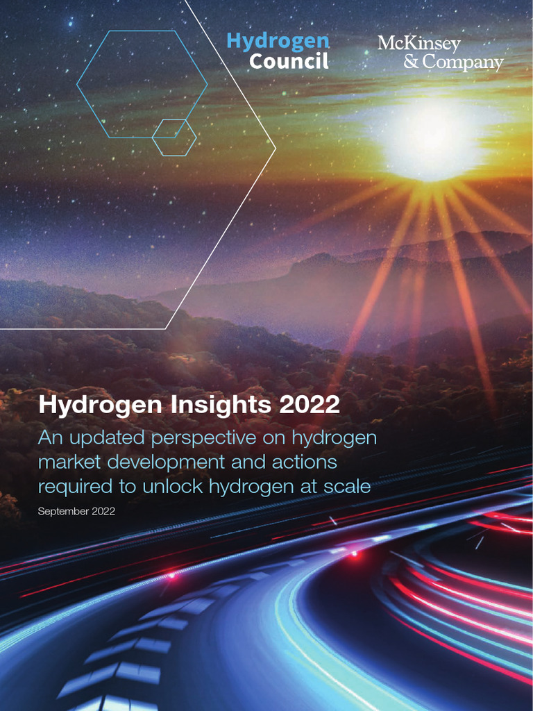 Hydrogen Insights 2022 2 | PDF | Low Carbon Economy | Climate Change ...