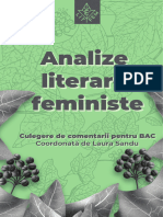 Analize Literare Feministe Final1!1!240106 141949