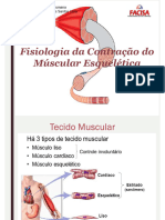 Fisiologia Da Contração Muscular Esquelética