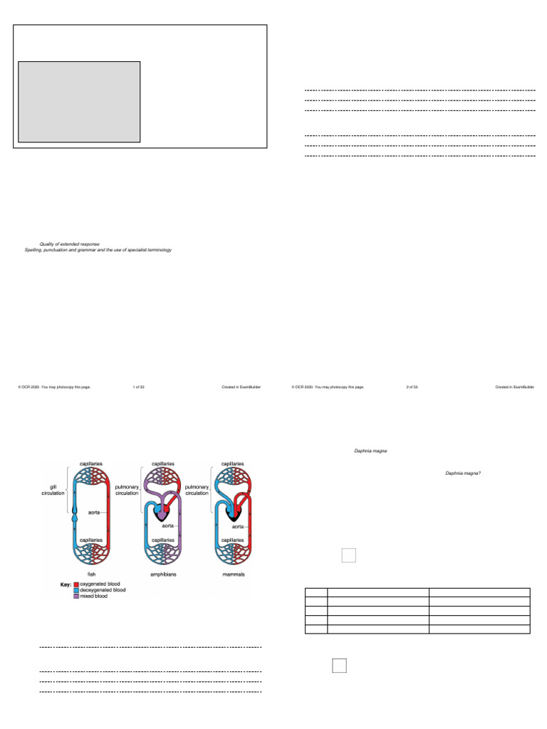 A Level Circulation in Animals OCR ExamBuilder. QP PDF