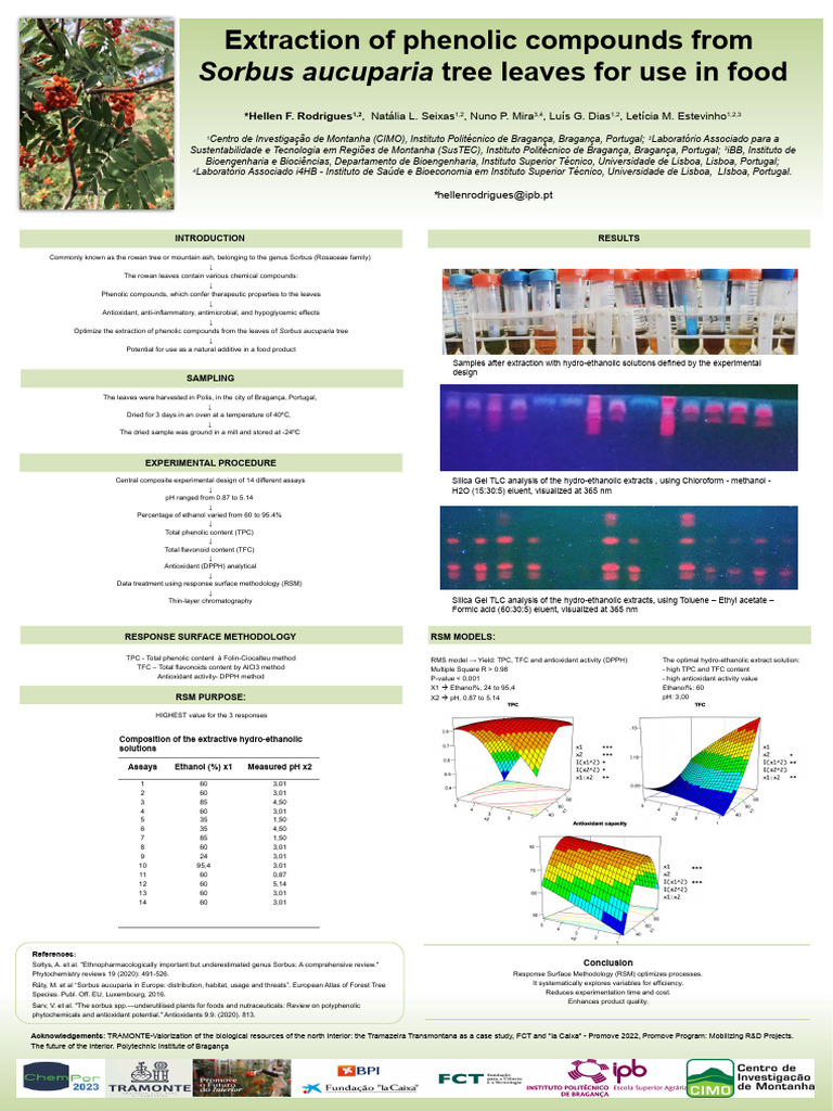 Poster | PDF
