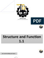 Structure of Plant