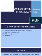 E. How Society Is organized-TIMer