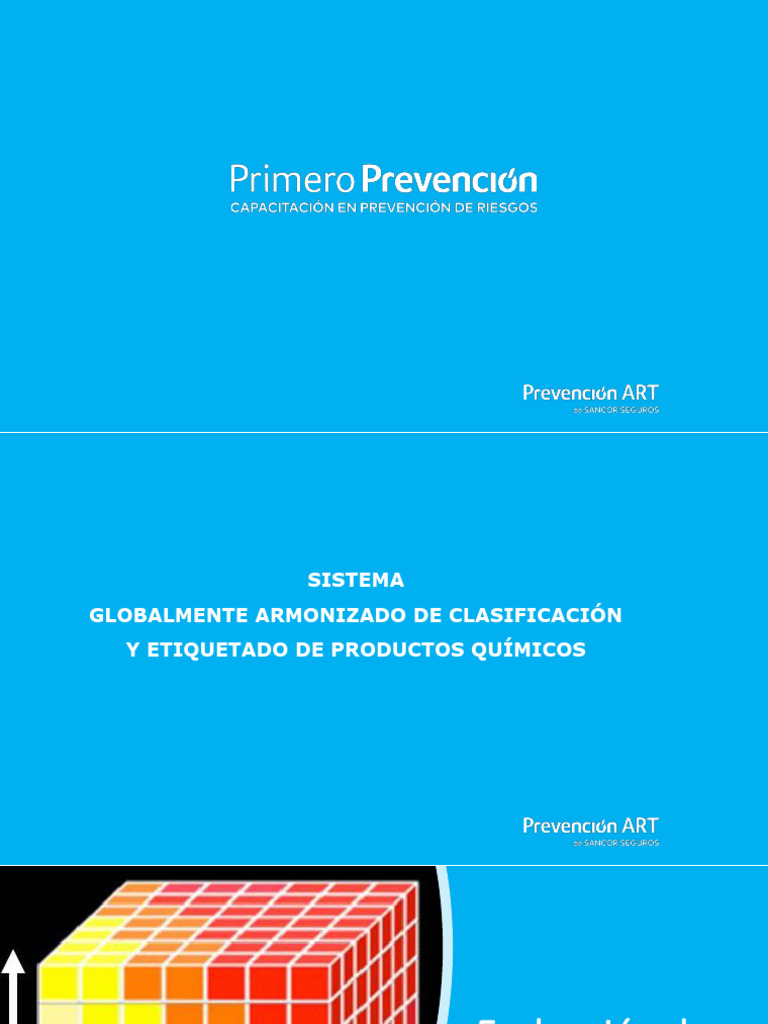 Sga Prevencion Art PDF Auditor a Business