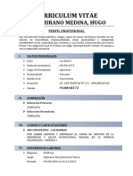 Curriculum Vitae Altamirano Medina, Hugo