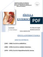 Fistula Enterocutanea