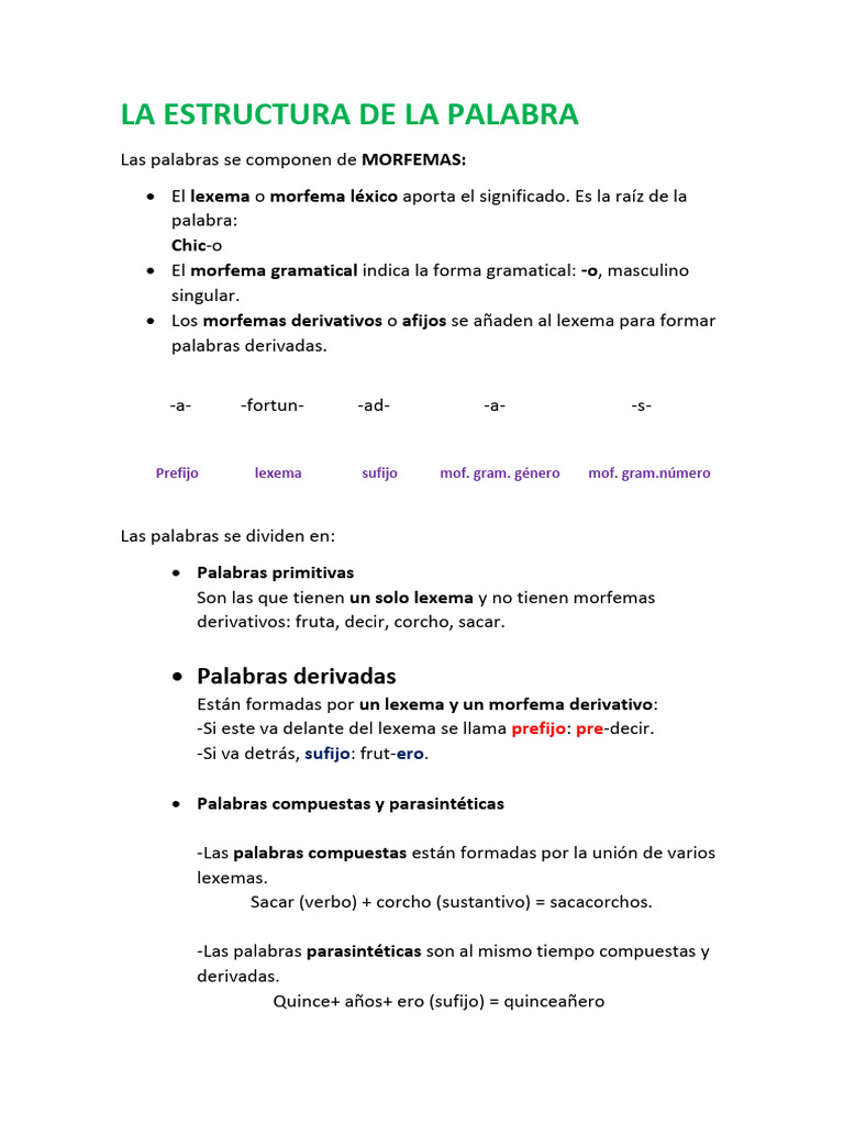 Estructura y Tipos de Palabras | PDF | Artes del Lenguaje y Comunicación