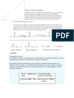 Biologia Celular Y Molecular