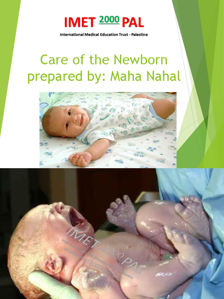 new operator - What is the 'new' keyword in JavaScript? - Stack Overflow visual data 6