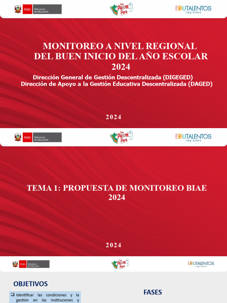 Monitoreo Regional BIAE 2024 | PDF