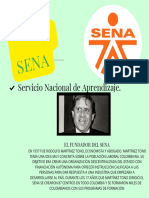 Infografia Sena - Andrea Mena Cuesta