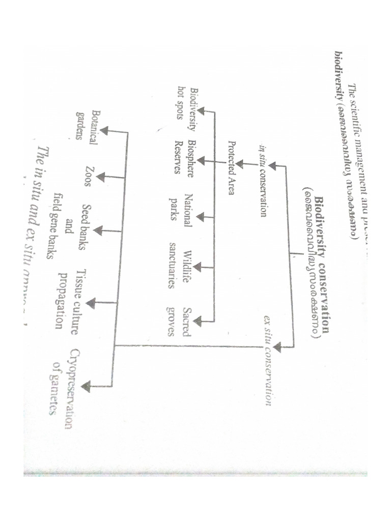 Biodiversity Chart PDF