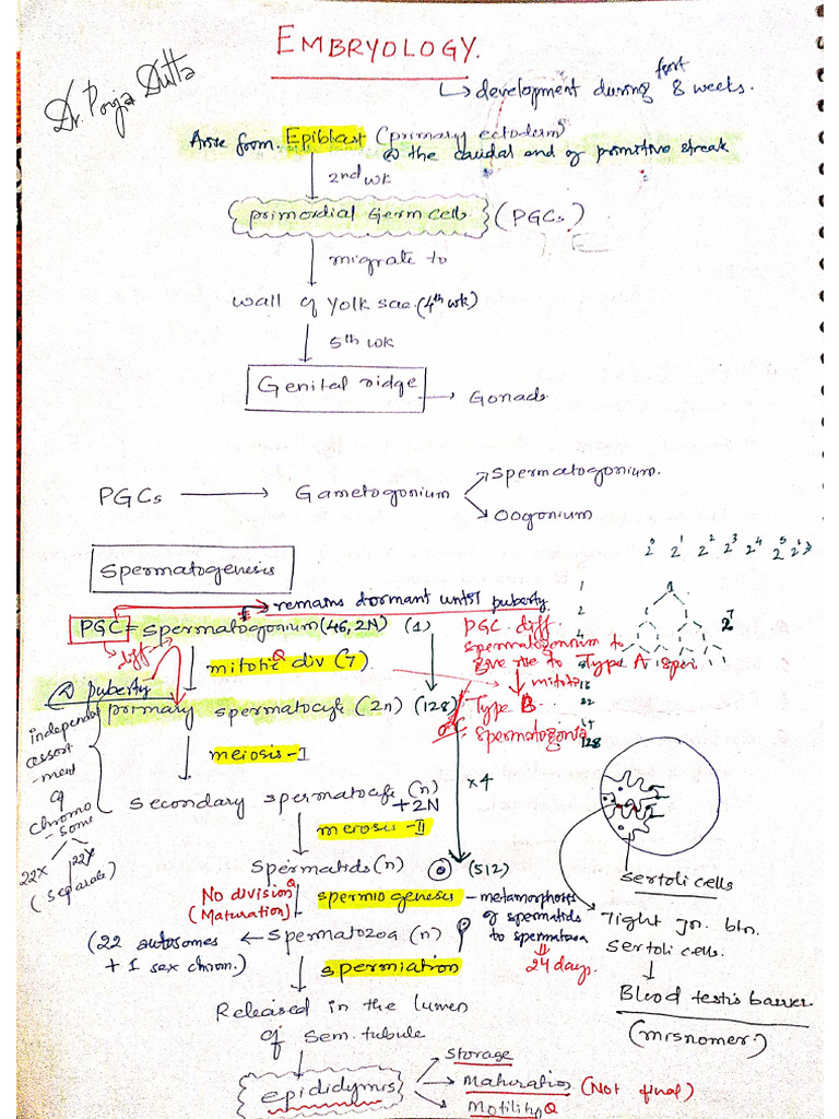 Embryology Notes Ashwani Sir Class Pdf