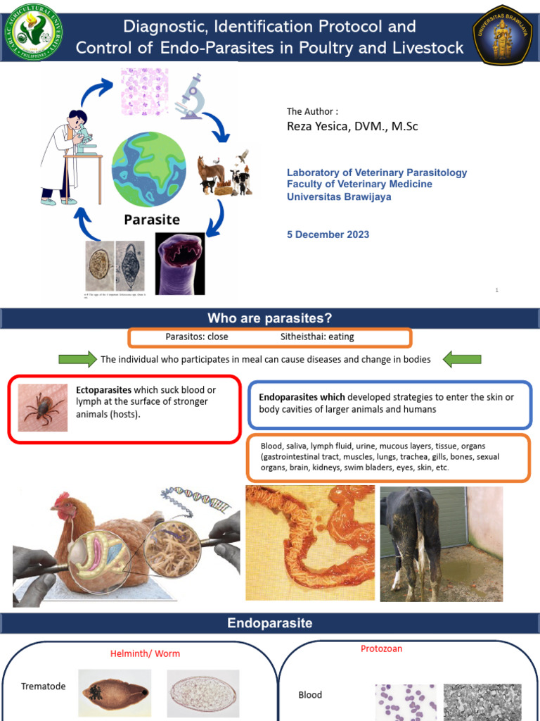 endoparasite-reza-yesica-fvm-ub-2023-pdf