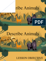 Describe Animal