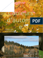 DP - Couleurs D'automne