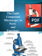 18b The Light Compound Microscope