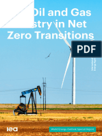 The Oiland Gas Industryin Net Zero Transitions