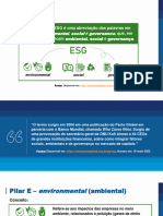Videoaula Pilares Do Esg