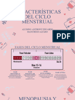 Ciclo Menstrual y Definciones