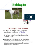 HIBRIDAÇÃO