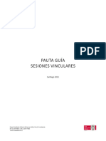 Pauta Guia Sesiones Vinculares