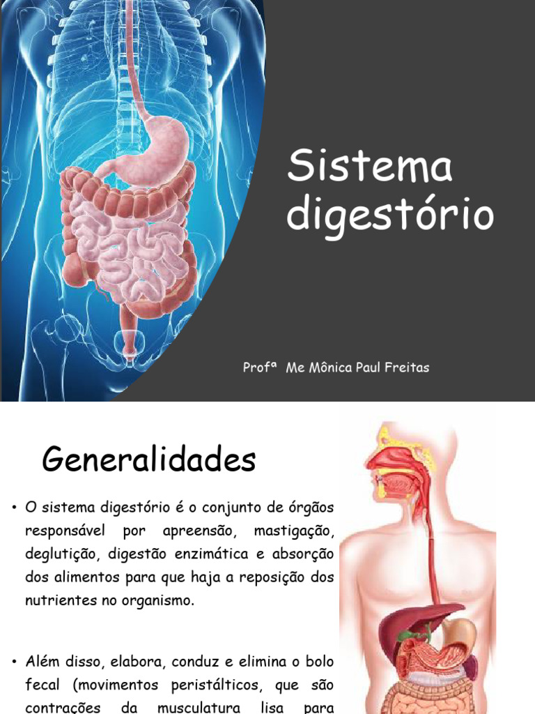 Estrutura e Funções do Sistema Digestório | PDF | Estudos de Línguas ...