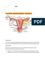 Reproduksi wanita