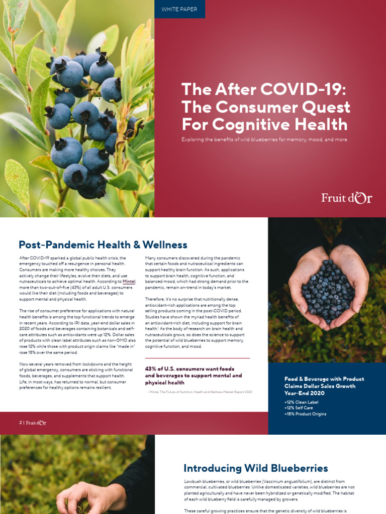 Wild Blueberries: Post-COVID Cognitive Health Boost | PDF | Blueberry ...
