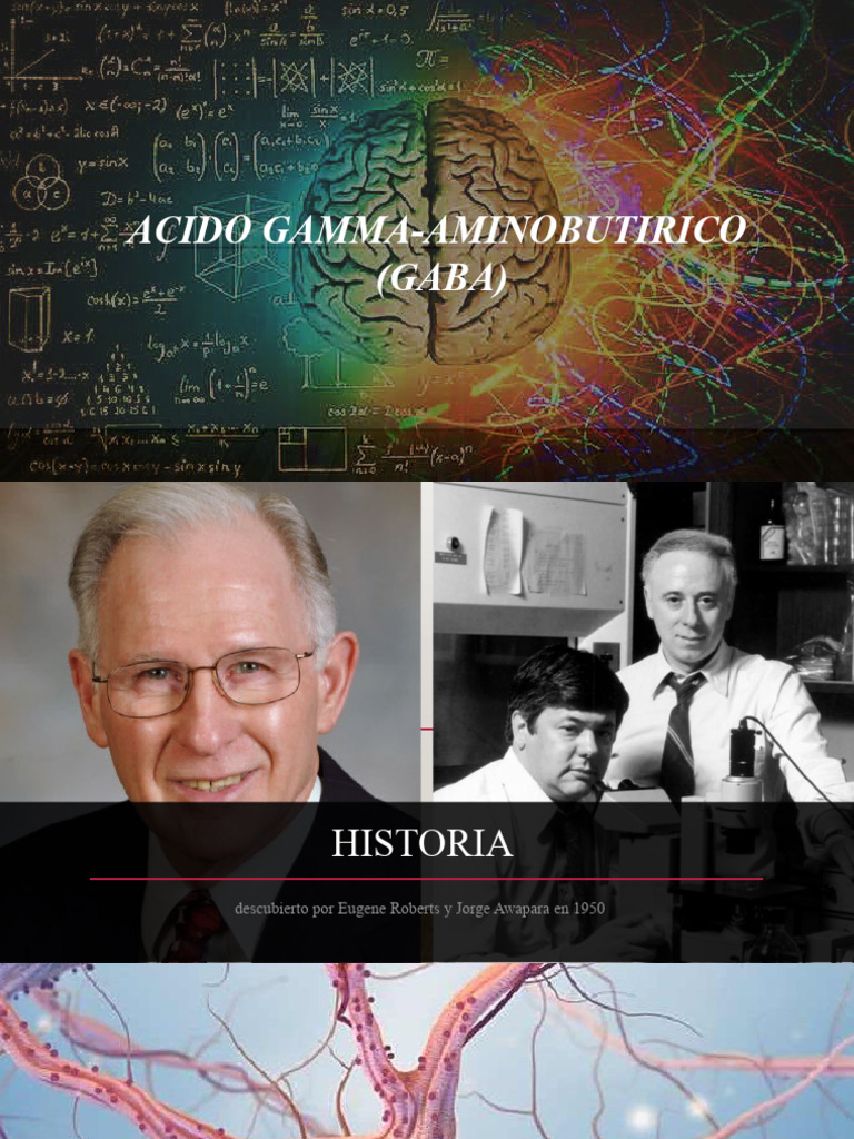 Gaba | PDF