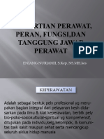 Pengertian Perawat, Peran, Fungsi, Dan Tanggung