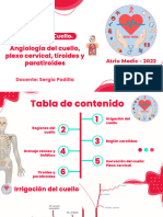 Anatomía Angiología Del Cuello - 4° Edición