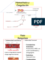 Hemostasiay Coagulación II