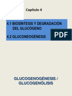 Cap4a Glucogeno