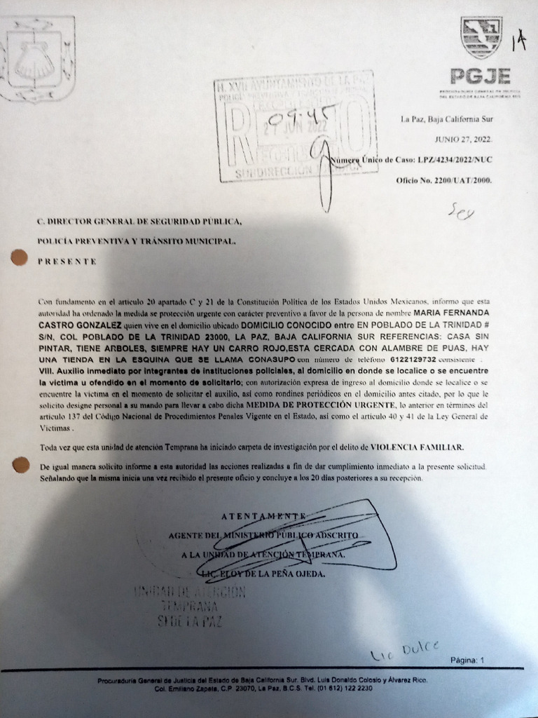 Medida de proteccion fernanda castro pdf